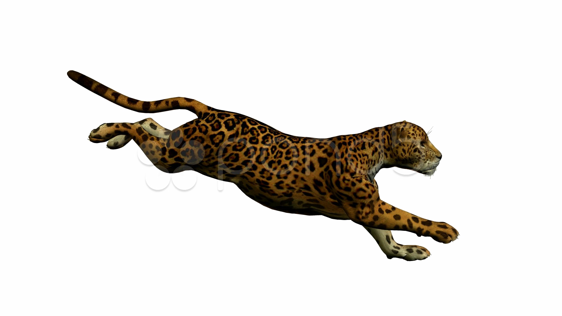 Jaguar Walking Free Png Image - Cartoon Jaguar Running (1920x1080), Png Download