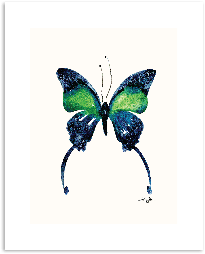 Home - August Grove 'butterfly 6' Watercolor Painting Print (900x900), Png Download