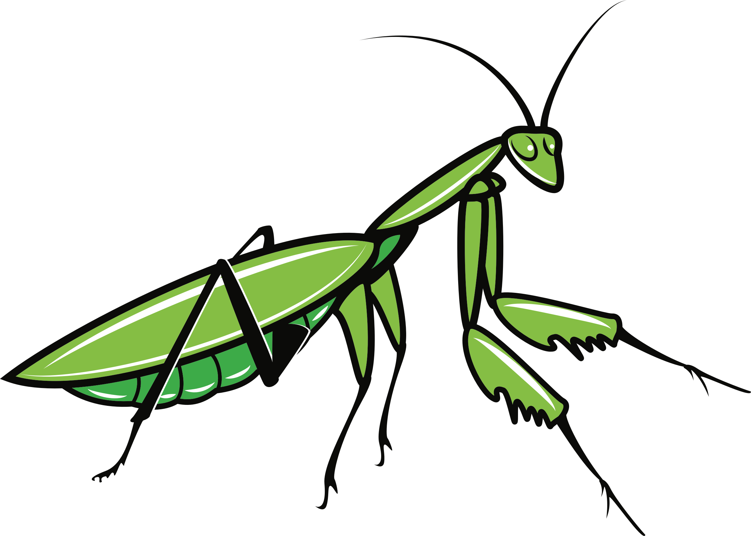 Big Image Png - Mantis Svg (2398x1713), Png Download