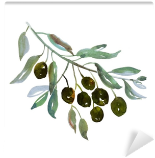 Olive Tree Branch On White Background Illustration - Olive Branch Watercolor Png (400x400), Png Download