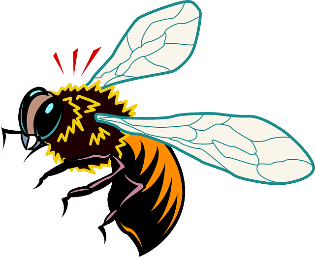 Stylized, Bee, Style, Wings, Art, Startled, Insect - African Honey Bee Clipart (640x523), Png Download