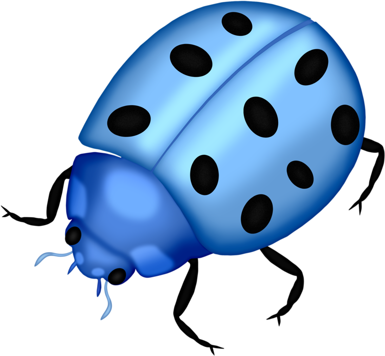 Bug Png Clip Art Lady Bugs And - Png Ladybug Blue (800x722), Png Download