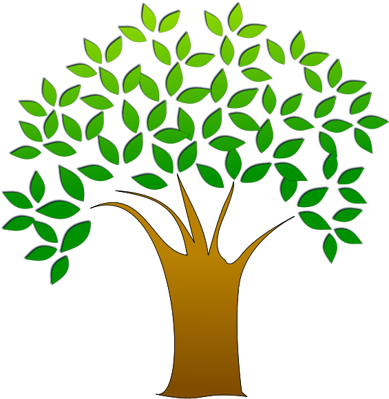 Clip Art Mustard Seed Clipart - Tree Clipart Transparent Background (800x600), Png Download