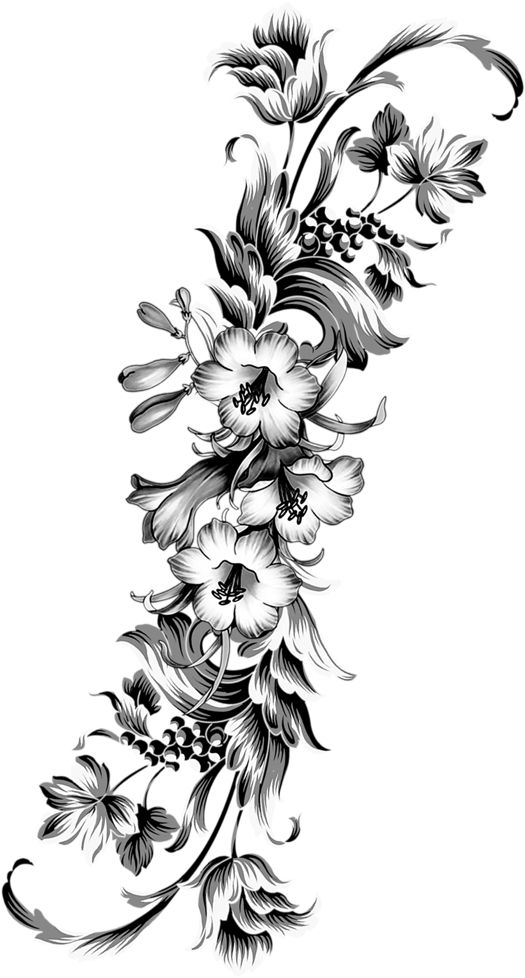 Graphic Library Stock Azalea Drawing Tatoo - Flower Borders And Frames (579x1024), Png Download