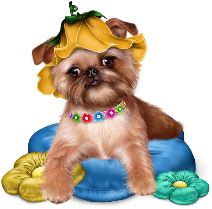 Превью Brussels Griffon Puppy20 Resultaat - Transparent Jaguarwomans Free Png (700x700), Png Download