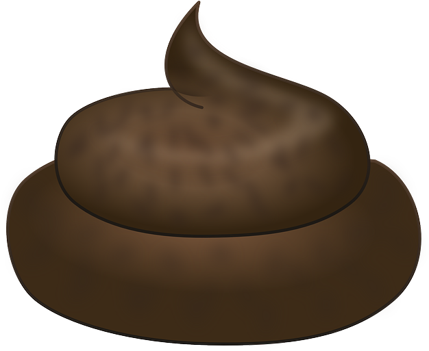 Poop Png - Cacca Png (422x340), Png Download