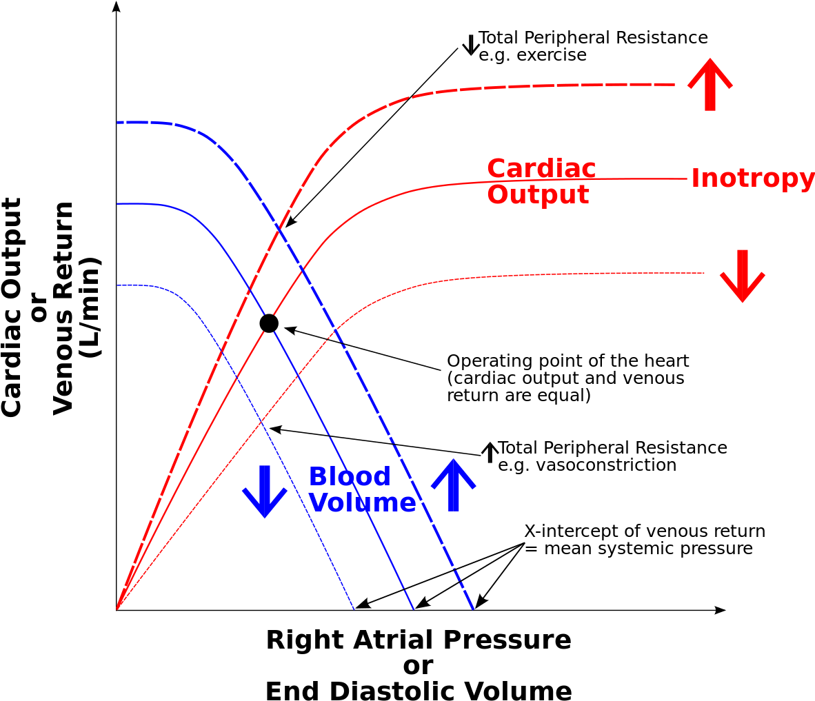 Starling Rap Combined - Starling Law Of The Heart (1182x1024), Png Download