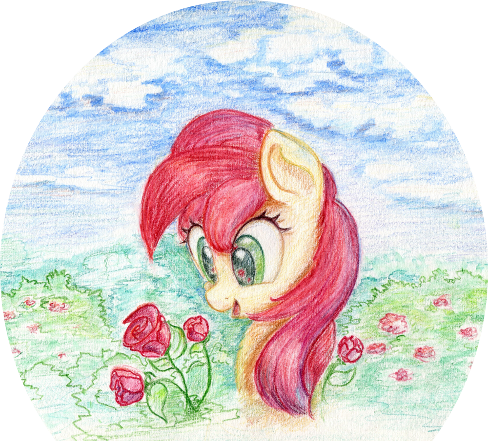 Uploaded - Coca Cola (1000x905), Png Download