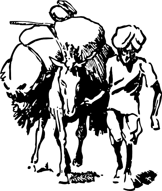 Cartoon, Field, Donkey, Load, Farmer, India, Indian - Indian Farmer Clipart Black And White (544x640), Png Download