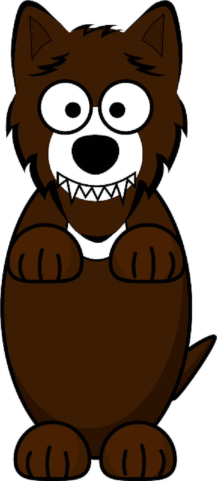 Mb Image/png - Brown Wolf Cartoon Shower Curtain (800x1600), Png Download