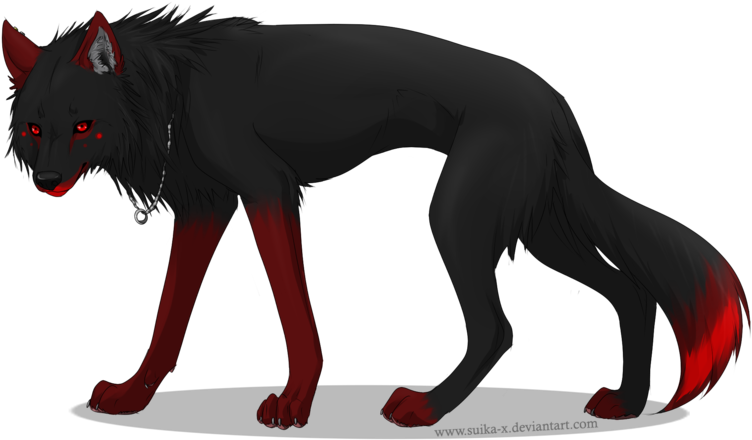 Lobo 46111 - Companion Dog (900x545), Png Download