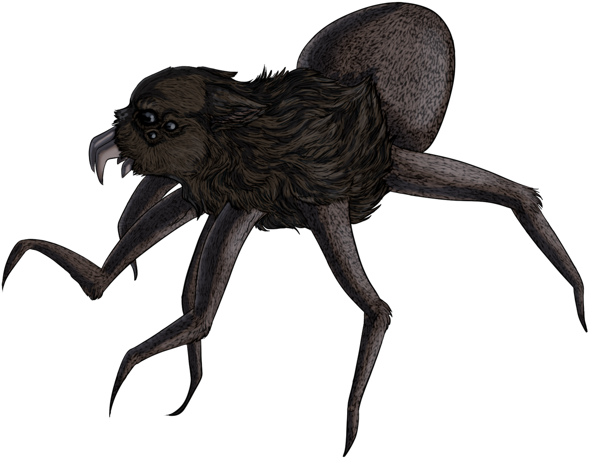 Araña Lobo - Wolf (1200x952), Png Download