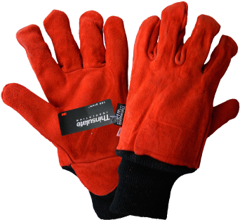 Gloves For Walk In Freezer (350x350), Png Download