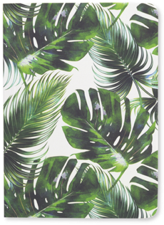 Tropical Leaf - Tropical Leaf Diary 2019 (480x480), Png Download