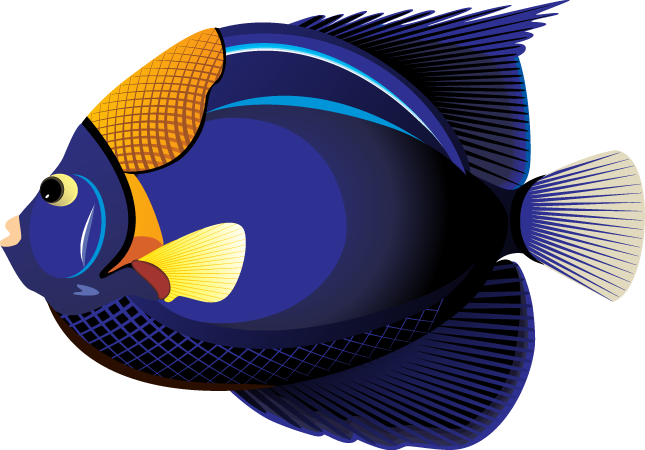 Tropical Cliparts - Tropical Fish Clip Art (645x450), Png Download