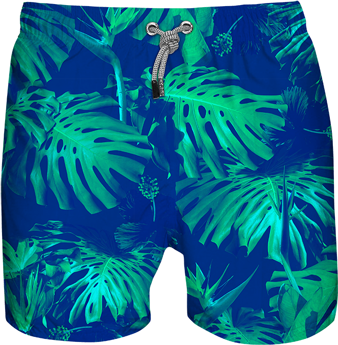 Tropics (700x711), Png Download