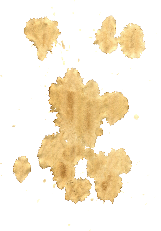 Cofee Stains Png - Manchas Cafe (558x800), Png Download