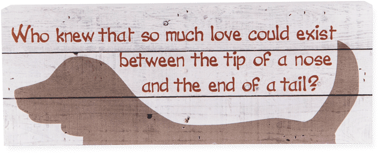 Plywood (800x600), Png Download