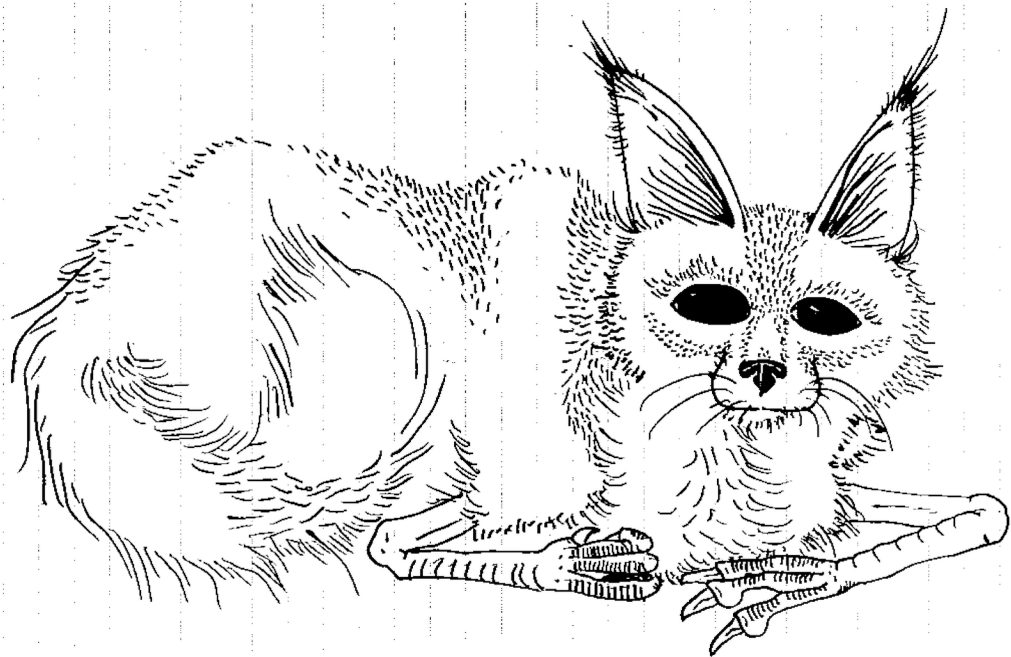 Download Where The Wild Things Are Coloring Pages At - Sketch (1024x656), Png Download