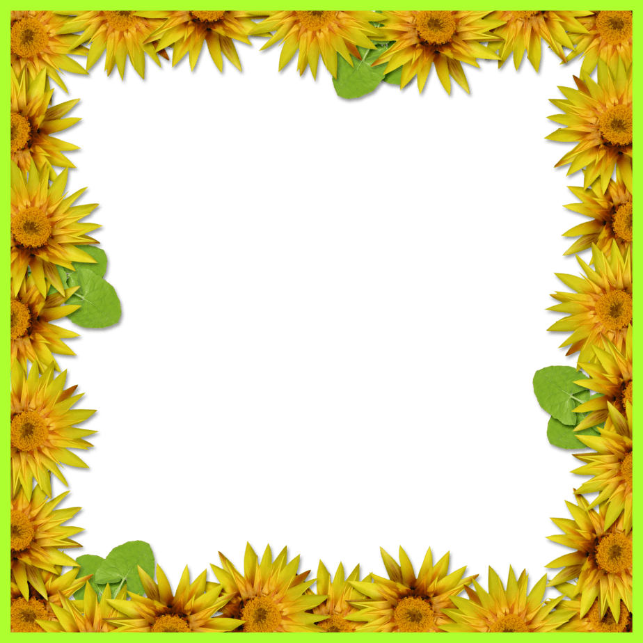 Sunflower Border Png - Yellow Flower Frame Png (924x924), Png Download
