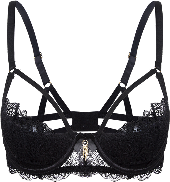 Ladies French Style Fancy Lace Halter Bra Thin Padded - Brassiere (800x800), Png Download