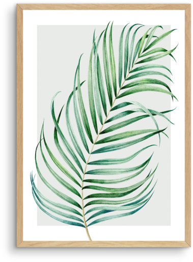 Watercolour Palm On Grey No 1 - Watercolor Painting (481x600), Png Download