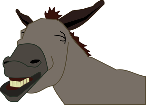 Burro Donkey Jackass Donkey Donkey Donkey - Donkey Head Clip Art (471x340), Png Download