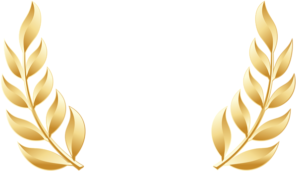 Laurel Leaves Png - Laurel Leaves Gold Png (600x354), Png Download