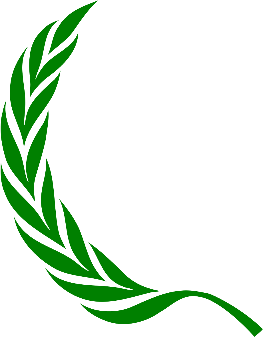 File - Laurel-left - Svg - Laurel Wreath (814x1024), Png Download