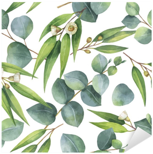 Watercolor Vector Seamless Pattern With Eucalyptus - Kaisercraft Open Road Bushwalk Paper (400x400), Png Download