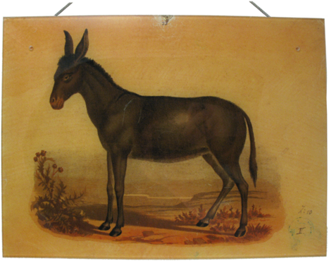 Mustang Horse (480x480), Png Download