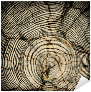 Close-up Crack Wooden Cut Texture With Burning Frame - Wood (400x400), Png Download
