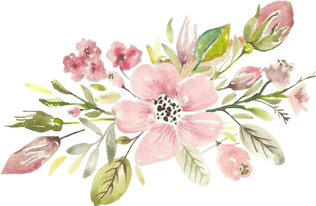 Mountain Laurel (456x297), Png Download