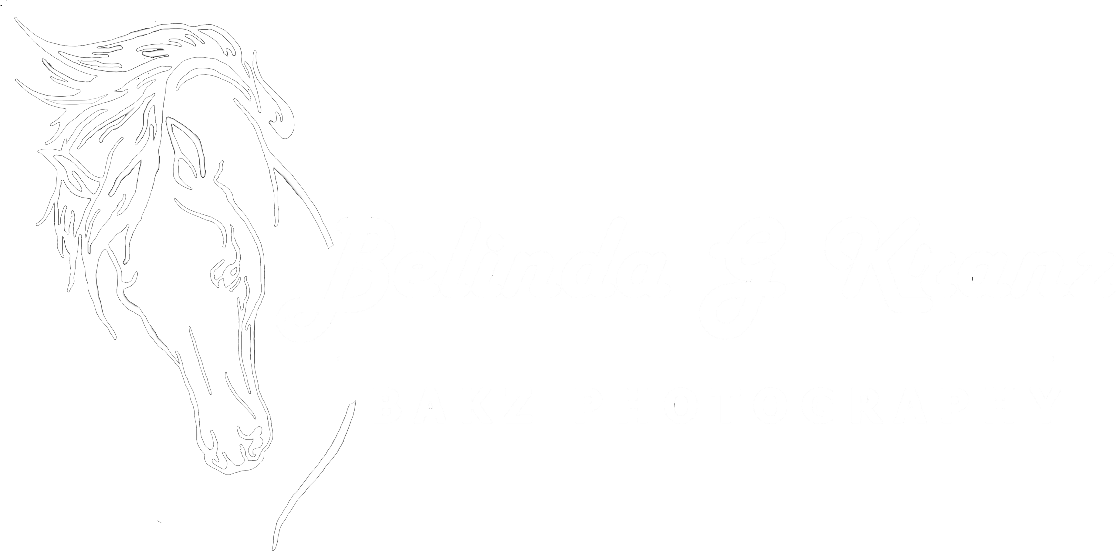 Sketch (4096x2023), Png Download