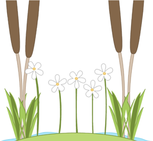 Lily Pad Clipart - Clip Art (640x480), Png Download