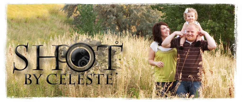 Celeste's Photography (1020x431), Png Download