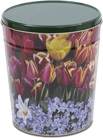 Share - Tulip (800x600), Png Download