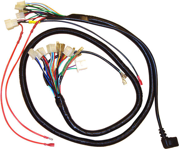 Electric Motorcycle Wiring Harness - Wire (800x800), Png Download