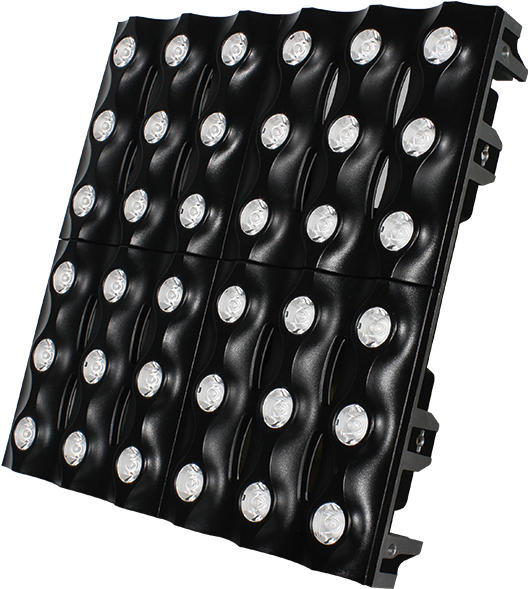 Polka Dot (800x800), Png Download