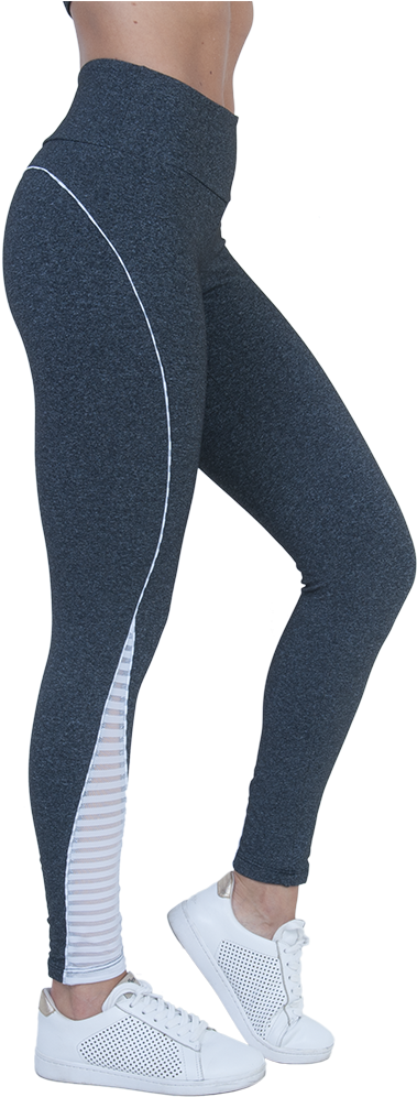 8562 Le5076 - Tights (800x1053), Png Download