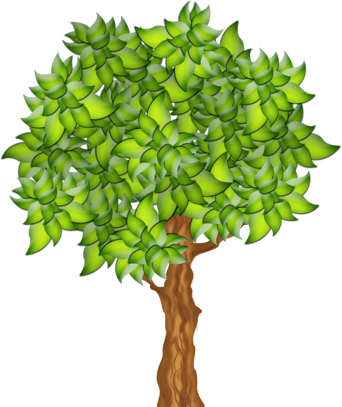 670 X 797 4 - Fruit Tree Clipart Png (670x797), Png Download