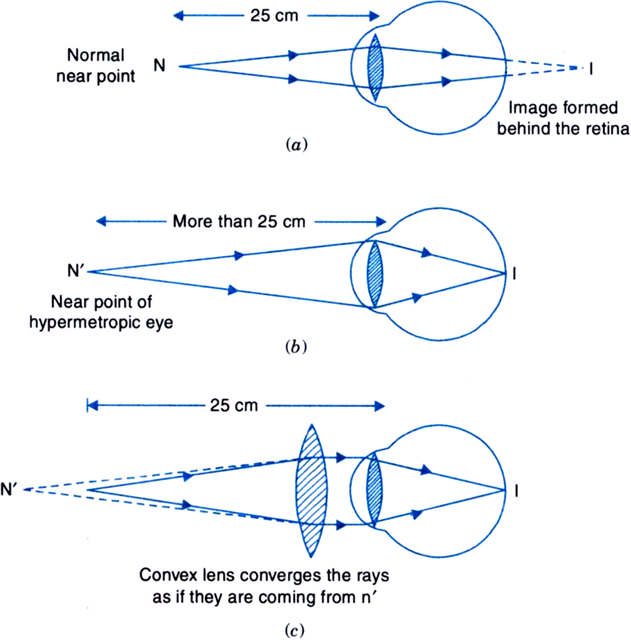 631 X 640 1 0 - Diagram (631x640), Png Download