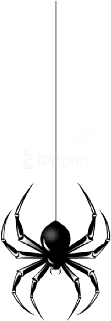 Free Png Download Halloween Black Spider Png Images - Spider Hanging Clip Art (480x1353), Png Download