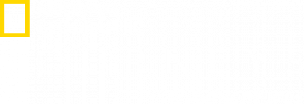 Search For Hotels - National Geographic (1170x400), Png Download