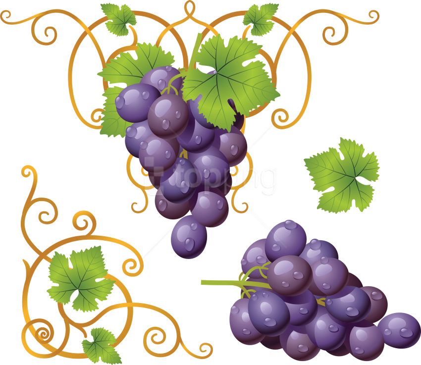 Free Png Download Grapes Clipart Png Photo Png Images - Clipart Grapes Png (850x737), Png Download