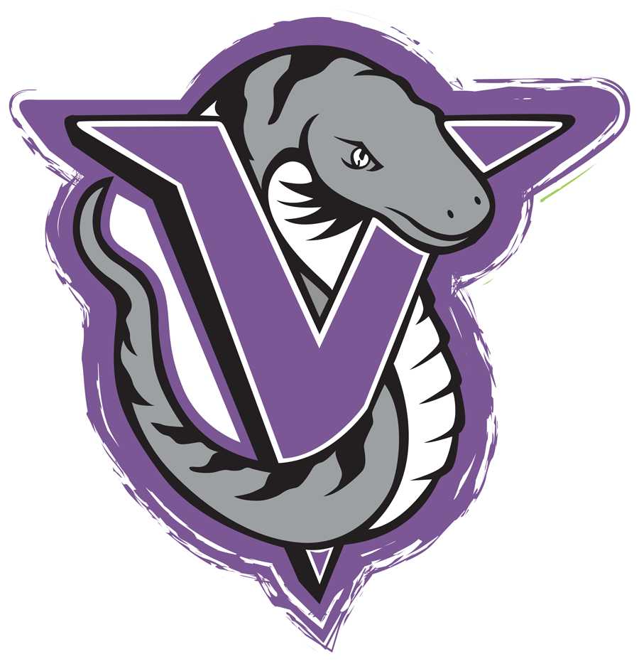 Alton Village Vipers Spiritwear - Alton Village Ps (900x934), Png Download