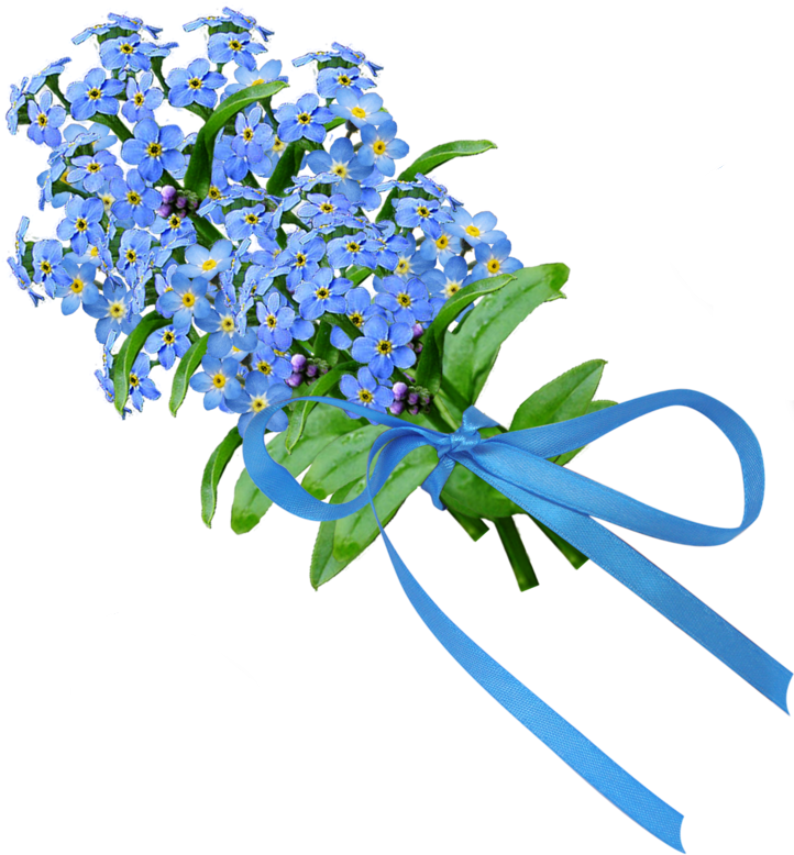 Forget Me Not In Bouquets - Forget Me Nots Transparent (750x778), Png Download