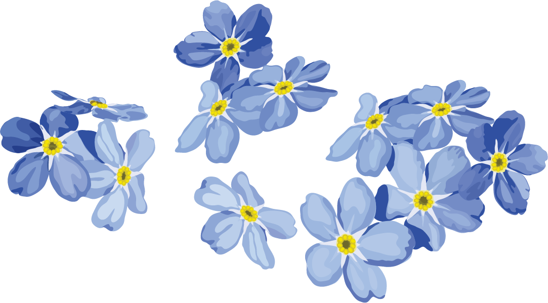 Forget Me Not Png Image Background - Vector Png Flower Png (1083x599), Png Download