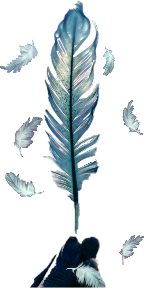 Feather (480x956), Png Download