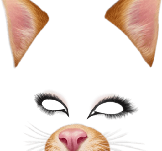 Snapchat Filters Png Transparent Images - Png Snapchat Filters (640x480), Png Download